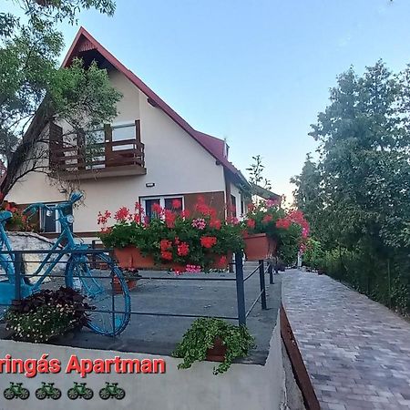 A Bringas Apartman Apartment Balatonfured Luaran gambar